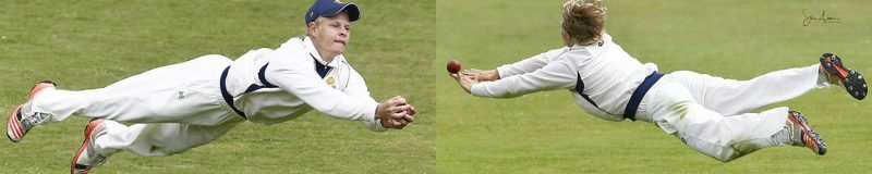 Cricket - photo 2